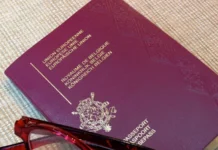 【比利时签证】申请人数增加,拒签率上升