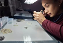 【周末观察】世界钻石交易中心谁是老大:安特卫普VS迪拜?