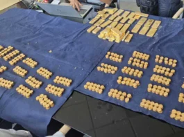 【Dendermonde】建筑翻修老房子挖出金条和金币 价值900万欧!